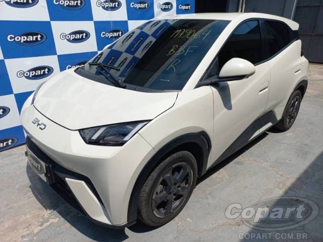 2025 BYD DOLPHIN MINI 