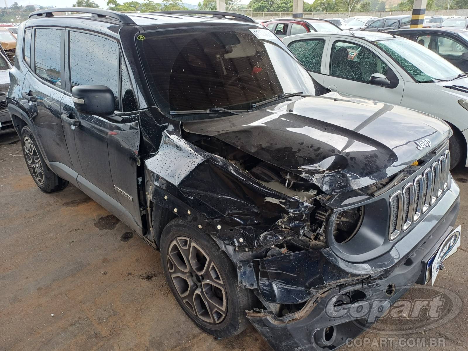 JEEP RENANGEDE 2019
