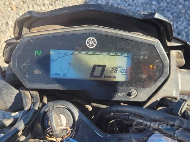 2024 YAMAHA FZ25 FAZER 