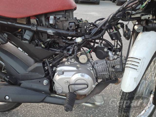 2025 HONDA POP 