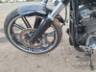 2019 HARLEY-DAVIDSON SOFTAIL 