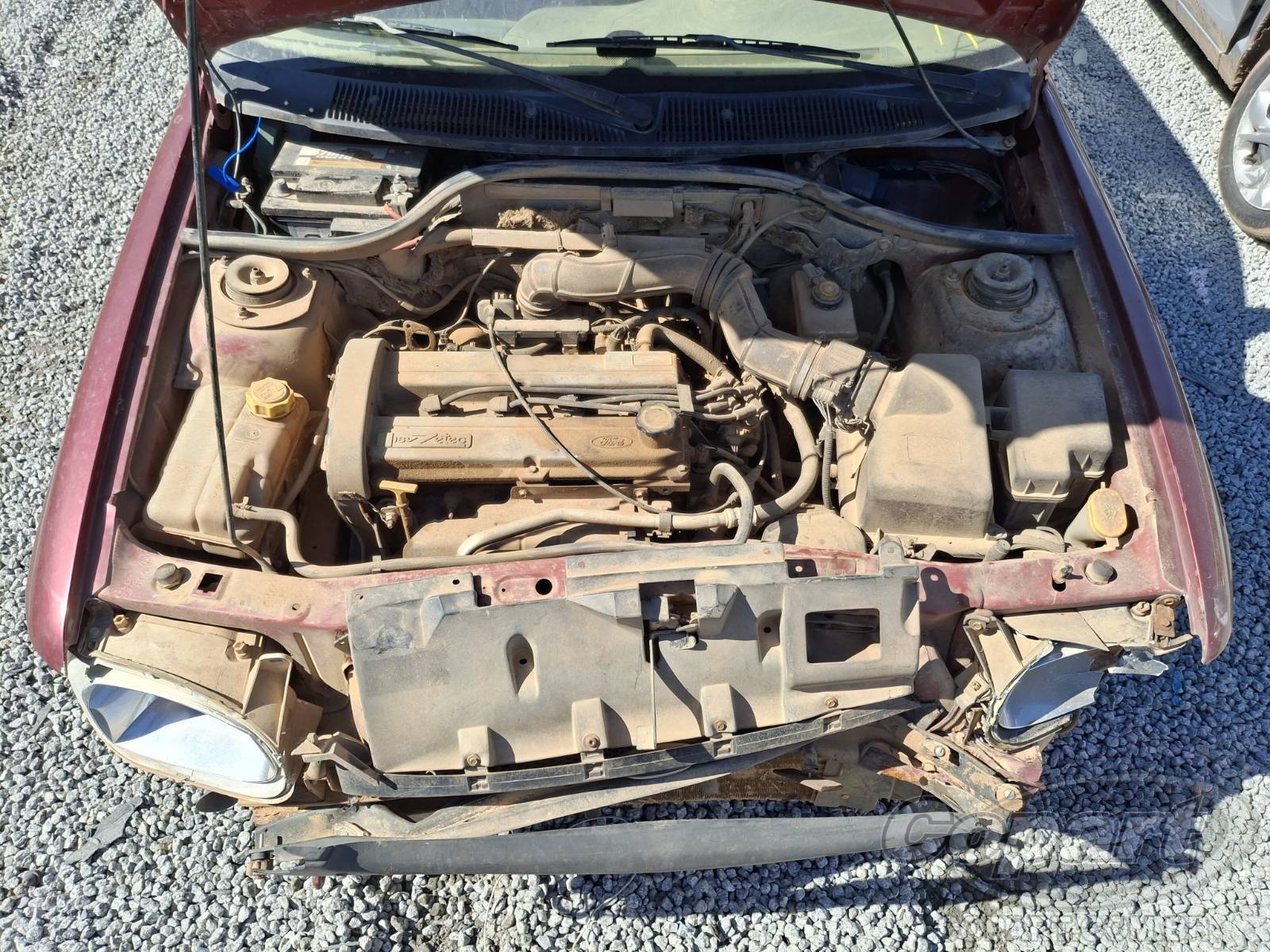 1999 FORD ESCORT SW — foto 7 de 10