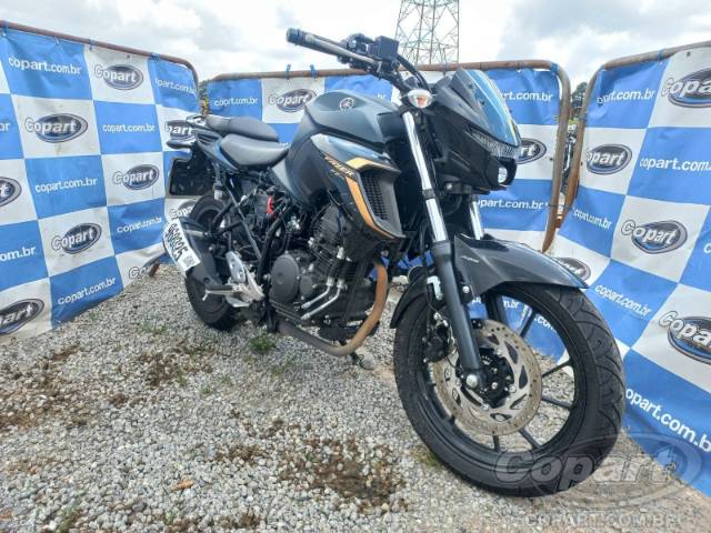 2024 YAMAHA FZ25 FAZER 