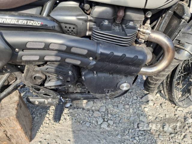 2024 TRIUMPH SCRAMBLER 
