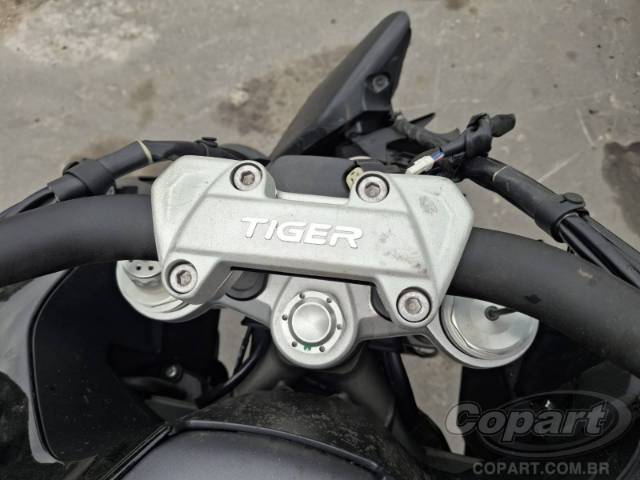 2024 TRIUMPH TIGER 