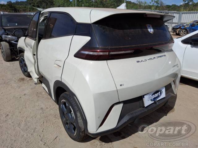 2025 BYD DOLPHIN MINI 