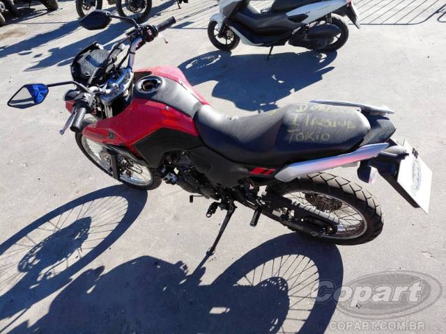 2025 YAMAHA XTZ 250 