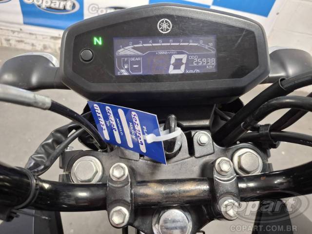 2025 YAMAHA FACTOR 