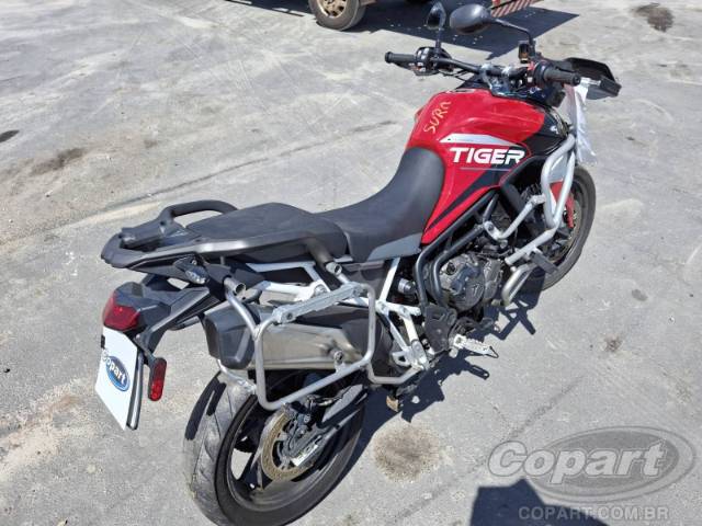 2024 TRIUMPH TIGER 