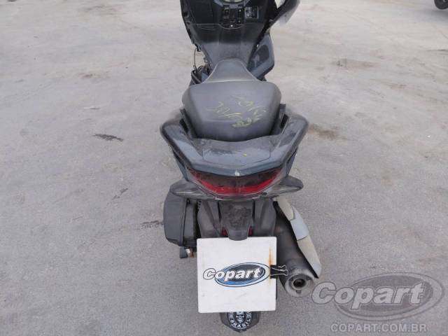 2019 HONDA PCX 