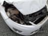 2013 FORD FIESTA 