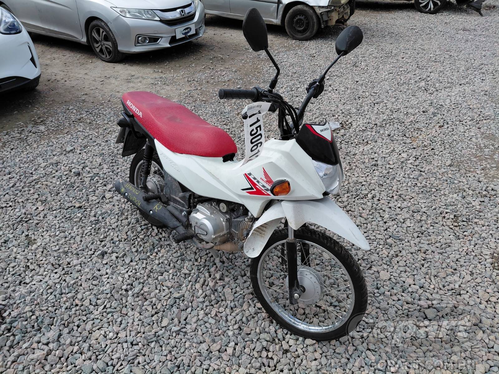 2026 HONDA POP