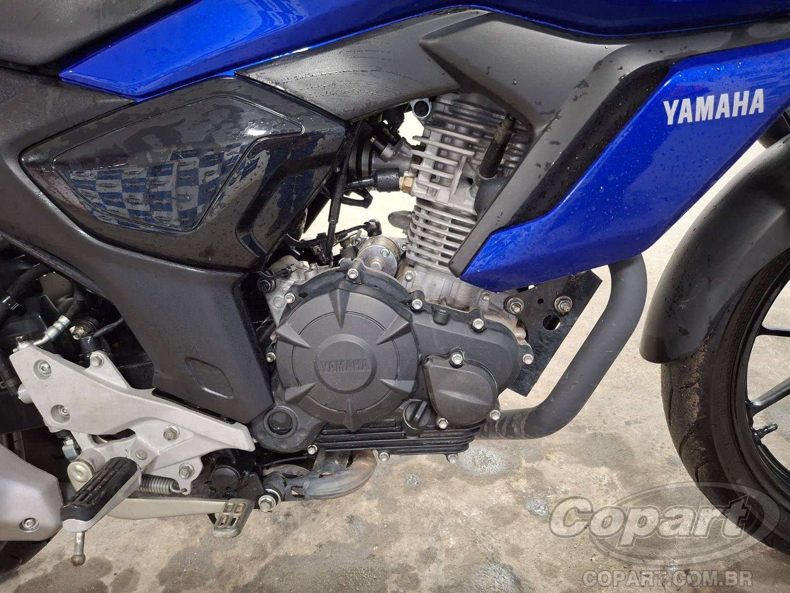 2024 YAMAHA FZ15 — foto 5 de 10