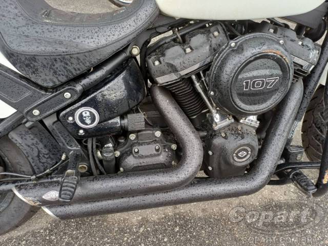 2019 HARLEY-DAVIDSON SOFTAIL 