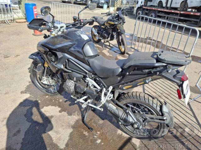 2024 TRIUMPH TIGER 