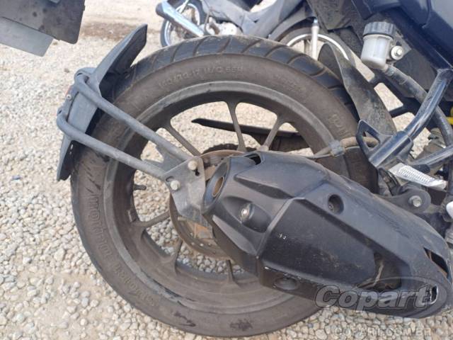 2024 YAMAHA FZ25 FAZER 