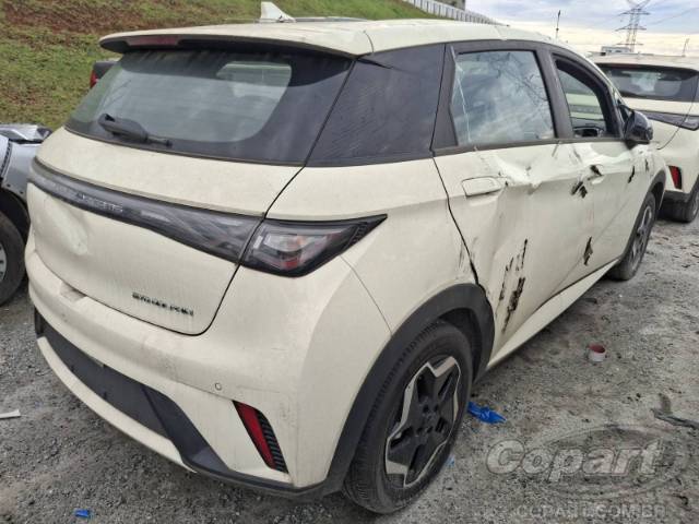 2026 BYD DOLPHIN 