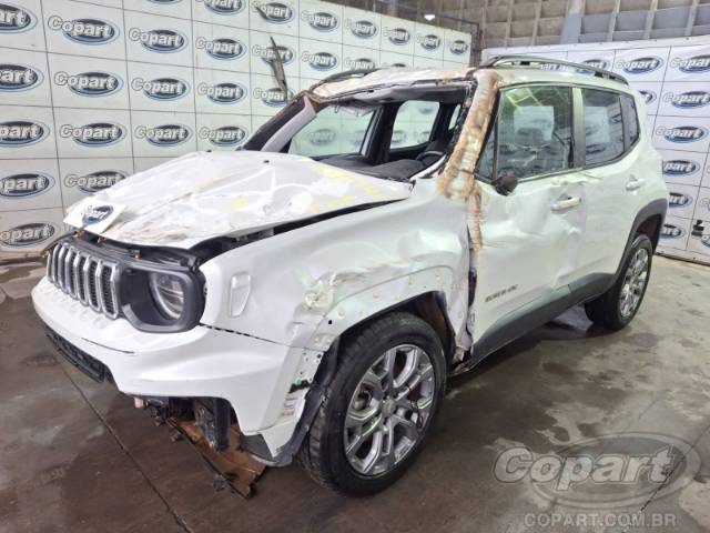 2025 JEEP RENEGADE 