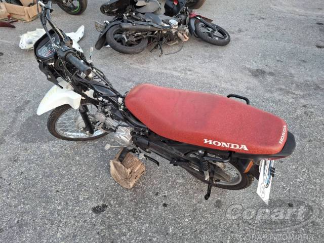 2025 HONDA POP 