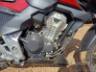 2025 HONDA CB 300F 