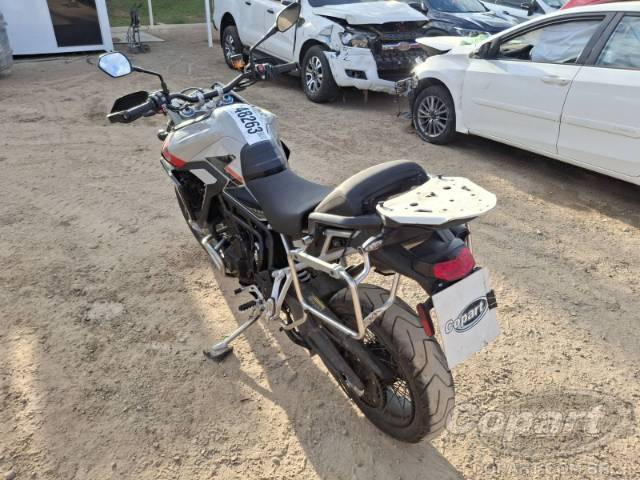 2026 TRIUMPH TIGER 
