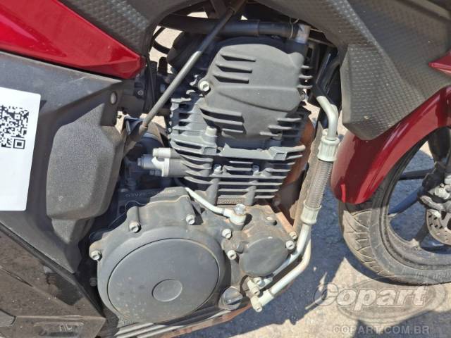2025 YAMAHA FZ25 FAZER 