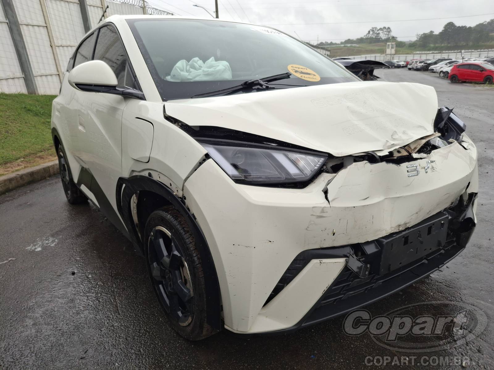 Veículo BYD Dolphin BYD Dolphin Mini 55 kW 2025 2025 em leilão