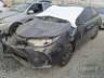 2024 TOYOTA YARIS 
