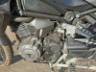2026 TRIUMPH TIGER 