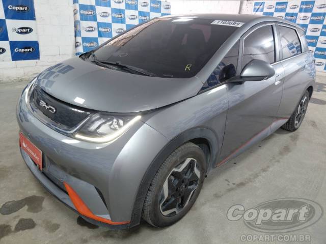 2024 BYD DOLPHIN 