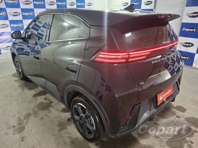 2025 BYD DOLPHIN MINI 