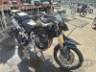 2024 TRIUMPH TIGER 