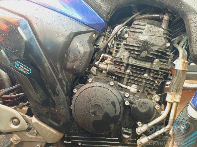 2025 YAMAHA FZ25 FAZER 