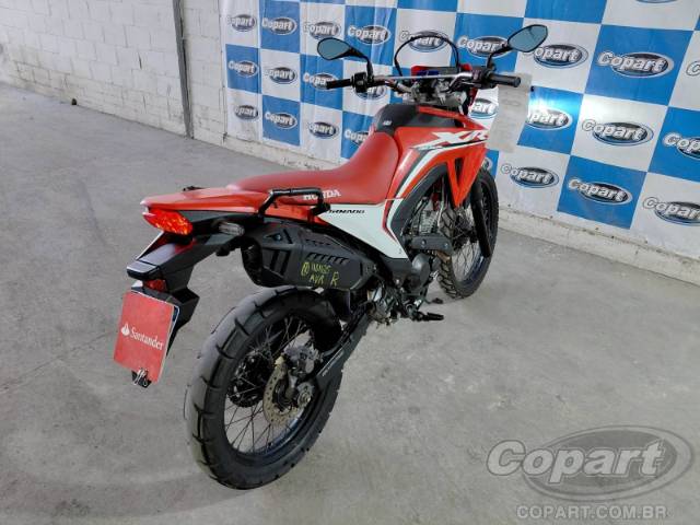2025 HONDA XR 300L 