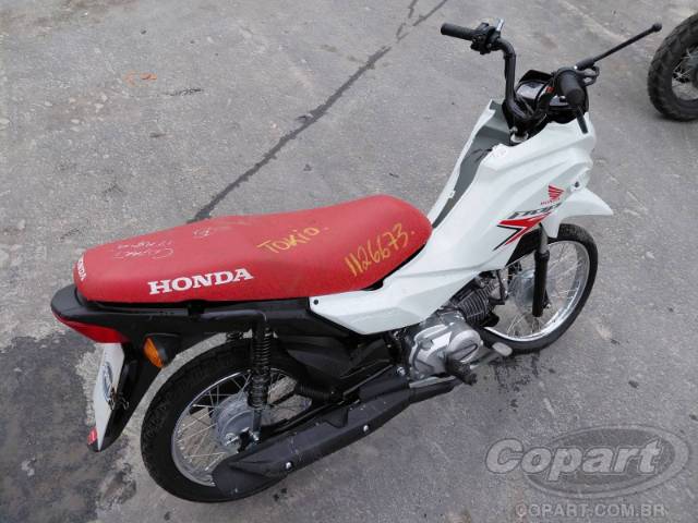 2026 HONDA POP 