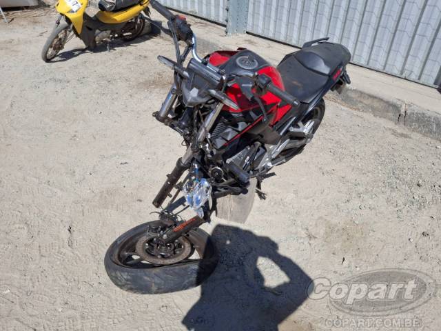 2024 HONDA CB 300F 