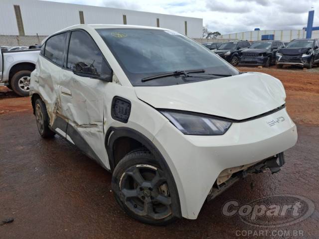 2025 BYD DOLPHIN MINI 