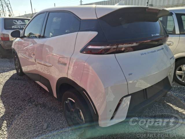 2025 BYD DOLPHIN MINI 