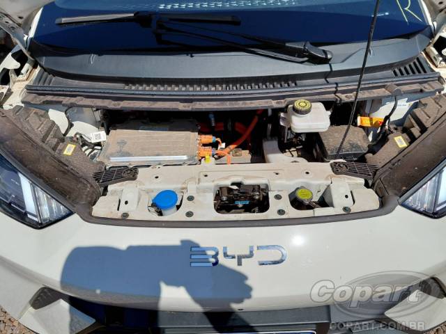 2026 BYD DOLPHIN MINI 
