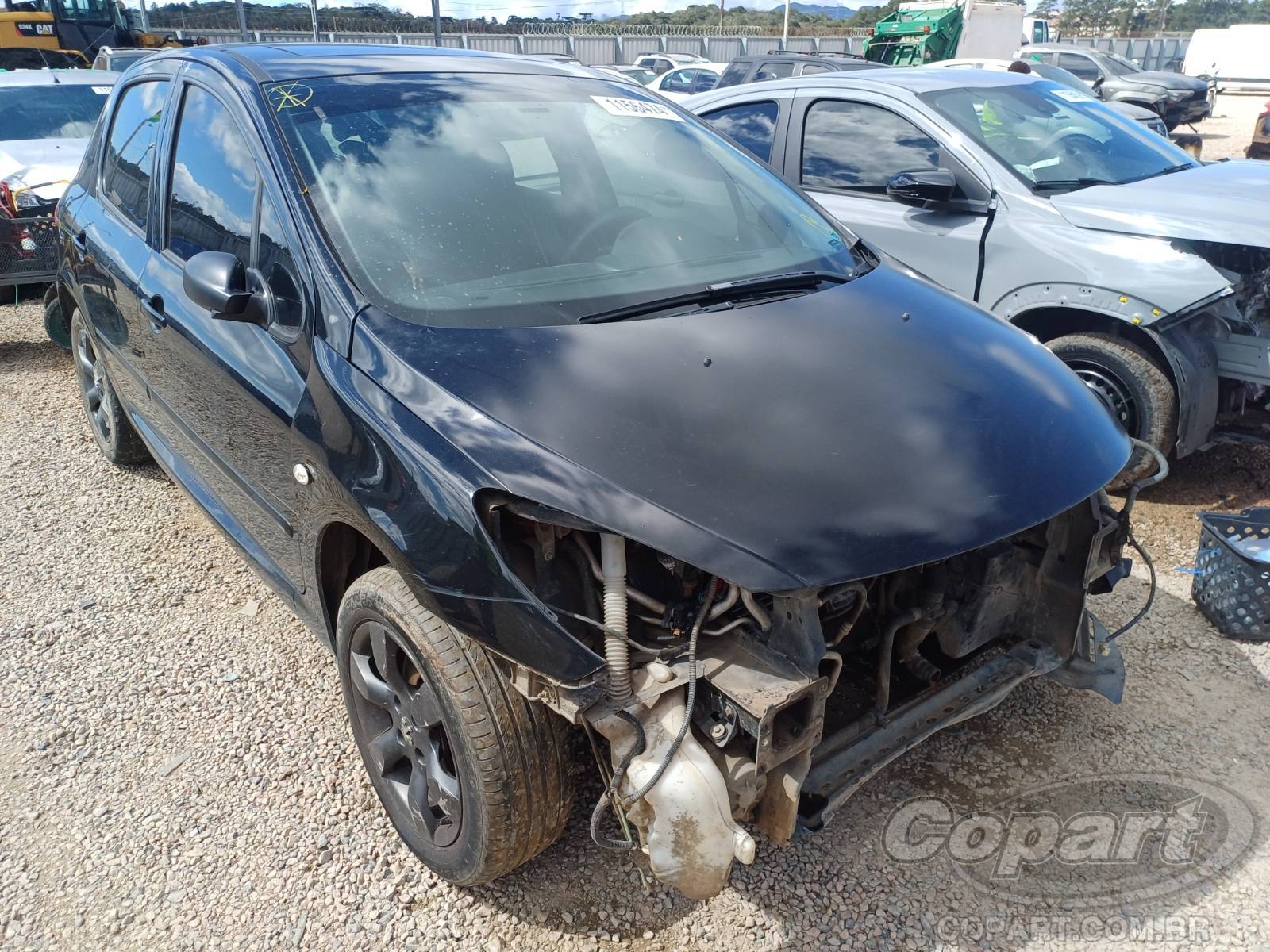 Peugeot 307 307 Sed. Feline 2.0/2.0 Flex 16V 4p Mec.