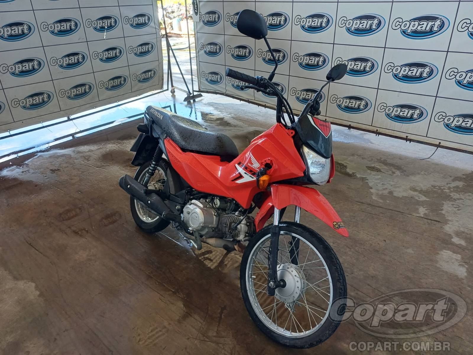 2025 HONDA POP Motos