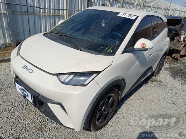 2025 BYD DOLPHIN MINI 