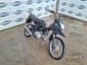 2025 HONDA POP 