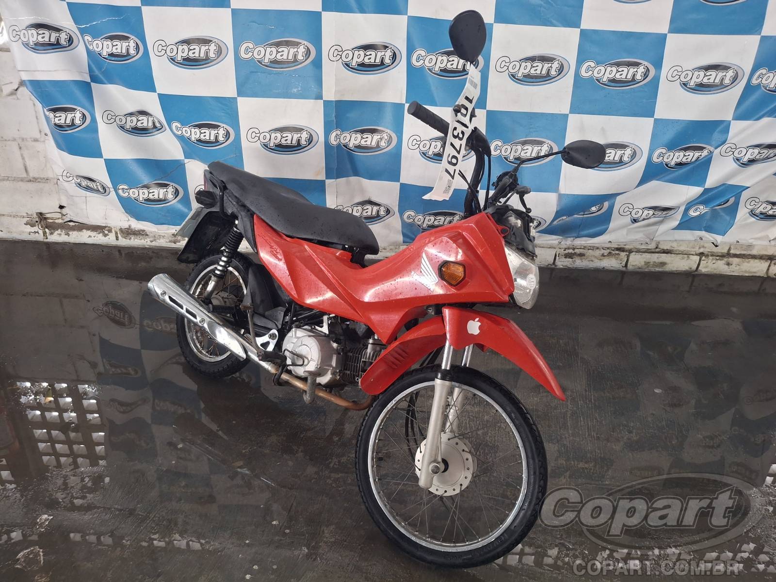 2022 HONDA POP Motos
