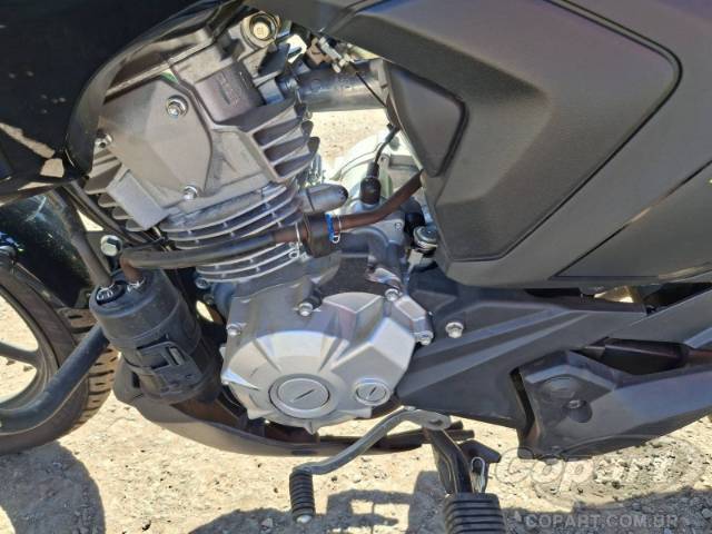 2025 YAMAHA FACTOR 