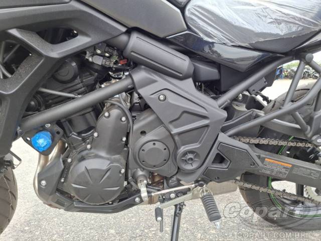 2025 KAWASAKI VERSYS 