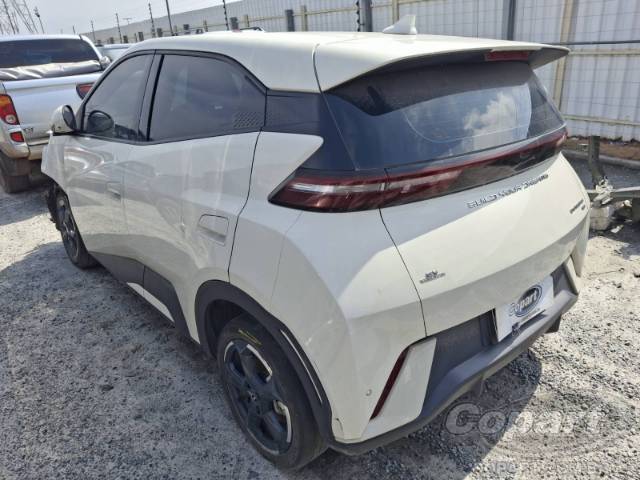 2025 BYD DOLPHIN MINI 