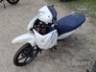 2026 SHINERAY 50Q 