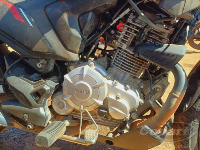 2025 YAMAHA FACTOR 