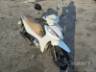 2026 HONDA BIZ 125 